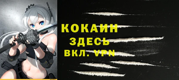 прущие грибы Армянск