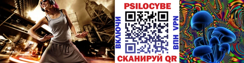 хочу Павловск Псилоцибиновые грибы MAGIC MUSHROOMS